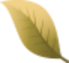 Banner Images